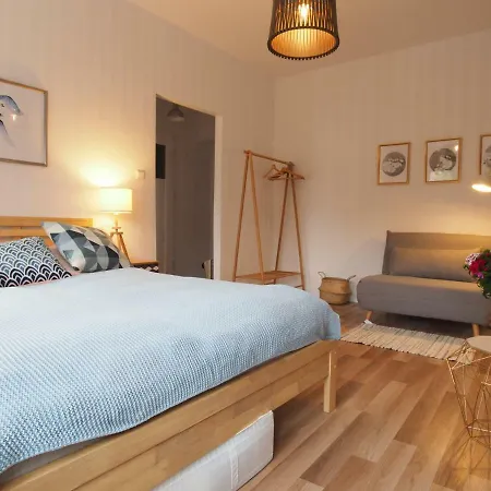 Grand-tourist Iris K2202 * 格但斯克